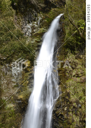 【兵庫県　宍粟市】原不動滝（日本の滝百選） 39934193