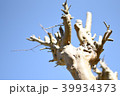 空へ 39934373