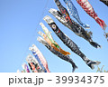 鯉のぼり 39934375