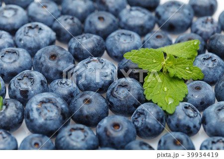 blueberry berries isolated on white background 39934419