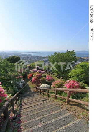 館山・城山公園からの景色 館山・城山公園からの景色 39935076