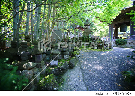 報国寺 五輪塔群 報国寺 五輪塔群 39935638