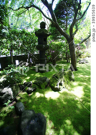 報国寺 庭園 39935639
