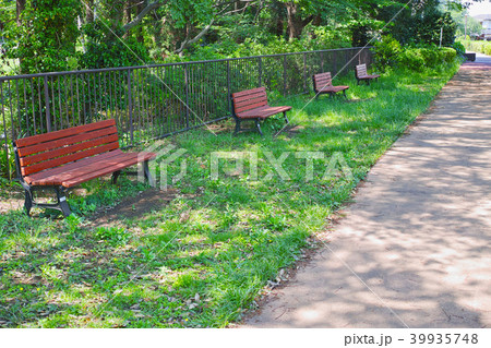 ふるさと尾根道緑道の風景　横浜市旭区 39935748
