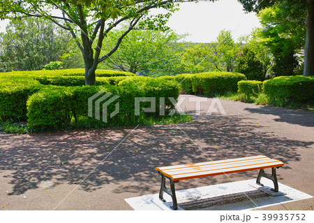 ふるさと尾根道緑道の風景 横浜市旭区 ふるさと尾根道緑道の風景 横浜市旭区 39935752