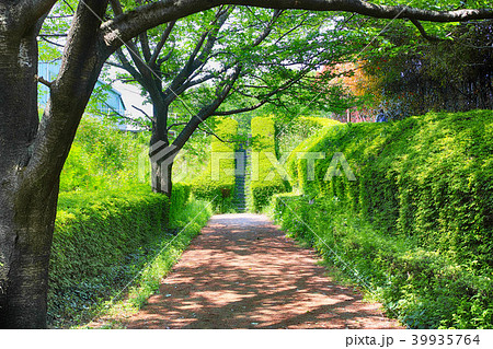 ふるさと尾根道緑道の風景　横浜市旭区 39935764