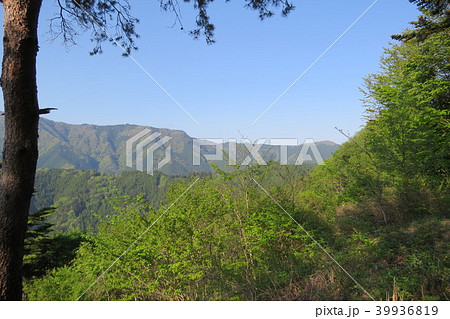 檜原村・浅間嶺⑦ 39936819