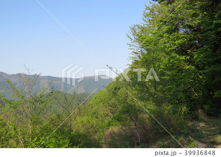 檜原村・浅間嶺⑫ 39936848