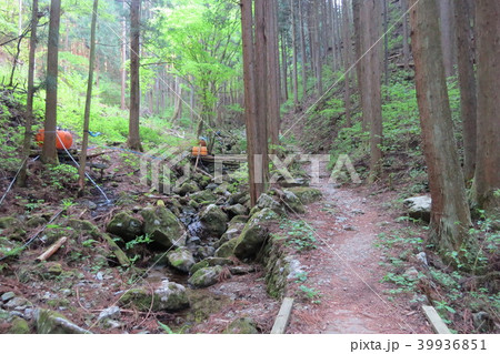 檜原村・浅間嶺⑮ 檜原村・浅間嶺⑮ 39936851