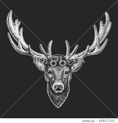 16091 Deer Tattoo Images Stock Photos  Vectors  Shutterstock