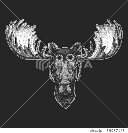 Moose, elk Hand drawn illustration for tattoo, emblem, badge, logo, patch, t-shirt Cool animal 39937143