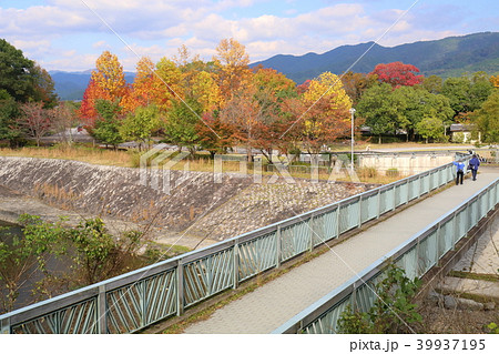 京都 秋の宝が池公園 京都 秋の宝が池公園 39937195