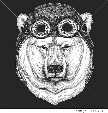 Big Polar Bear White Bear Hand Drawn のイラスト素材