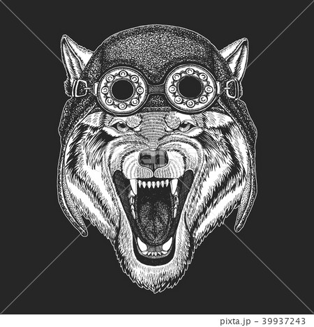 Cool animal wearing aviator, motorcycle, biker helmet. Wolf Dog Wild animal Hand drawn illustration 39937243