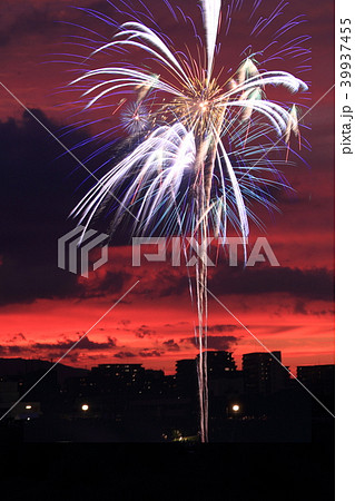 花火と夕焼け 伊丹花火大会 兵庫県 伊丹市 の写真素材