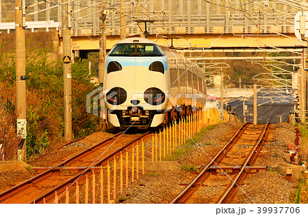 パンダくろしお号JR287 Panda face Express Train Kuroshio 77 パンダくろしお号JR287 Panda face Express Train Kuroshio 77 39937706