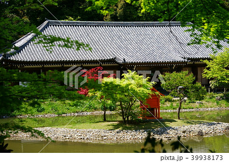 春の陽気・浄瑠璃寺１ 39938173