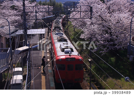 桜の駅1 桜の駅1 39938489