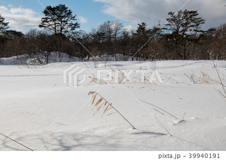 レンゲ沼の雪景色・裏磐梯 レンゲ沼探勝路(福島県) レンゲ沼の雪景色・裏磐梯 レンゲ沼探勝路(福島県) 39940191
