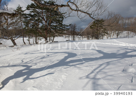 レンゲ沼の雪景色・裏磐梯 レンゲ沼探勝路(福島県) レンゲ沼の雪景色・裏磐梯 レンゲ沼探勝路(福島県) 39940193
