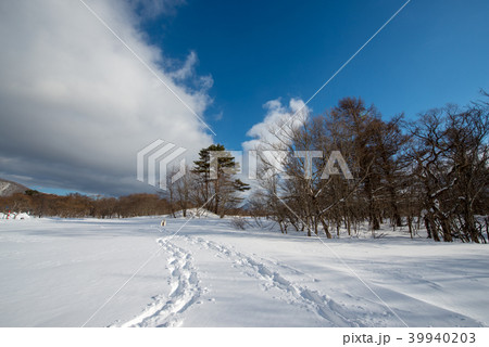 冬のレンゲ沼探勝路・裏磐梯トレッキング(福島県) 冬のレンゲ沼探勝路・裏磐梯トレッキング(福島県) 39940203