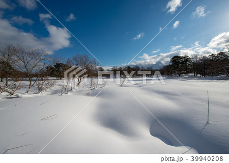 レンゲ沼の雪景色・レンゲ沼探勝路（福島県） 39940208