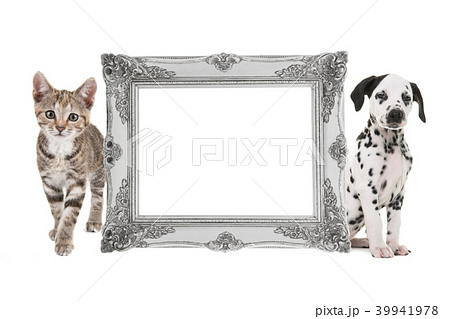 Silver victorian picture frame with kitten and pup 39941978