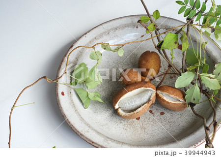 森の中で蔓状に実を付けるアケビの実 森の中で蔓状に実を付けるアケビの実 39944943