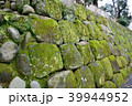 小田原城苔むす石垣 39944952