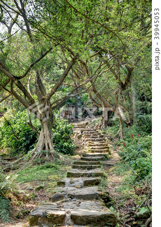 Stone path Stone path 39945053