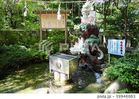 銭洗い白龍王 銭洗い白龍王 39946063