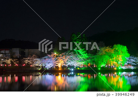 八鶴湖 夜桜ライトアップ (千葉県東金市) ※2018年春 八鶴湖 夜桜ライトアップ (千葉県東金市) ※2018年春 39946249