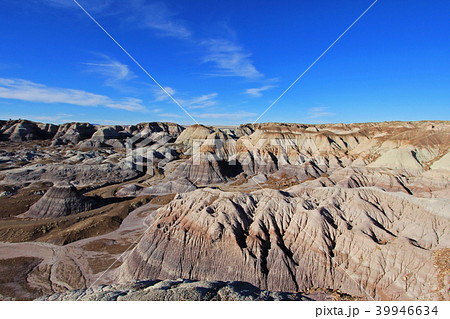 Badlands landscape with tree trunks in Petrified Forest National Park, USA 39946634