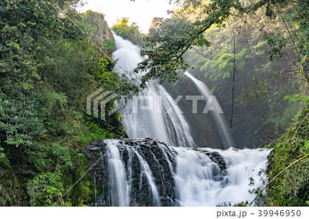 慈恩の滝 39946950