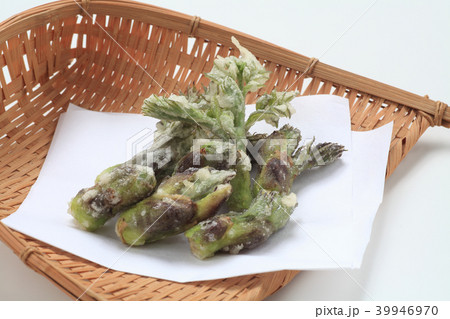 タラの芽の天ぷら 39946970