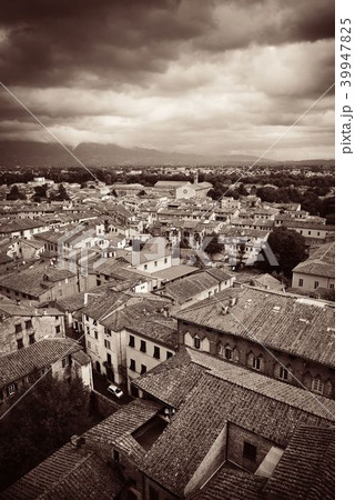 Lucca rooftop view with mountain 39947825