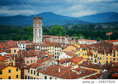 Lucca skyline tower 39947826