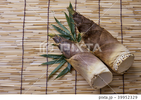 たけのこ  旬 39952329