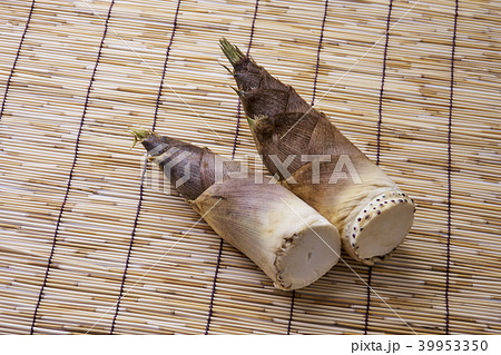 たけのこ 旬 たけのこ 旬 39953350