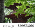 新緑と寺 39953860