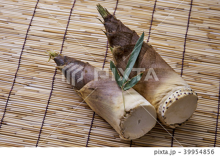 たけのこ  旬 39954856