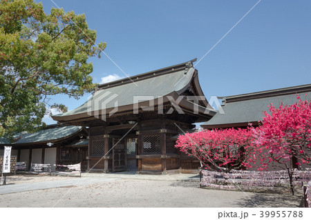 多賀神社楼門 39955788
