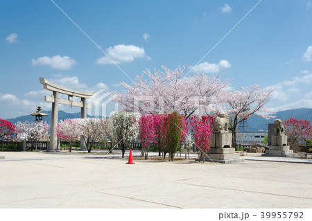 多賀神社境内 39955792