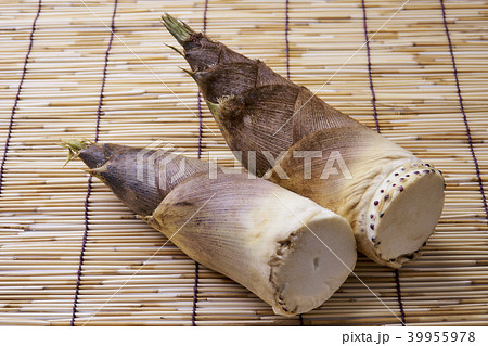 たけのこ  旬 39955978