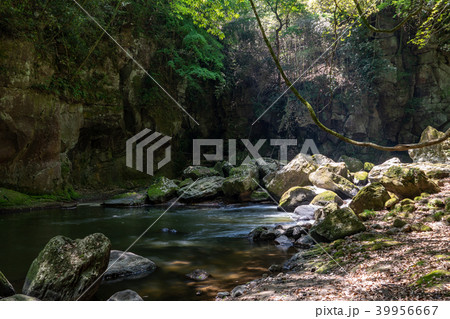 黄牛の滝の下流 黄牛の滝の下流 39956667