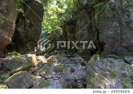 黄牛の滝の下流 39956669