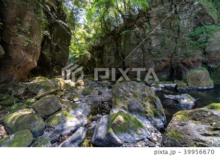 黄牛の滝の下流 39956670