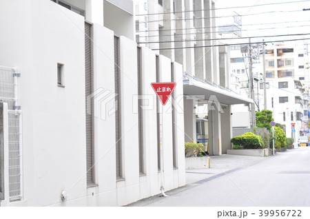 旅行 感性 写真 39956722