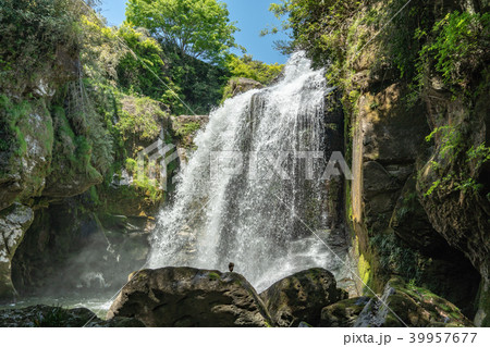 黄牛の滝 黄牛の滝 39957677