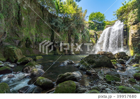 黄牛の滝 黄牛の滝 39957680